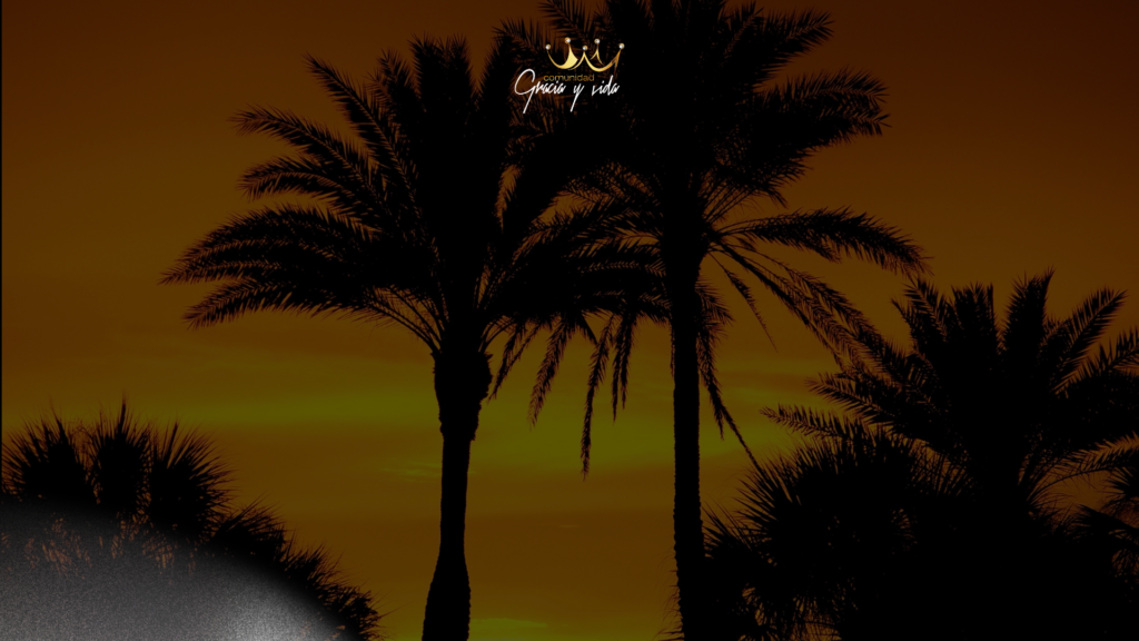 firmes e inconmovibles